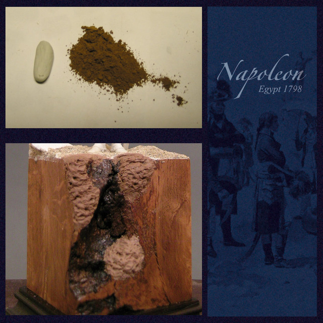 Napoleone in Egitto